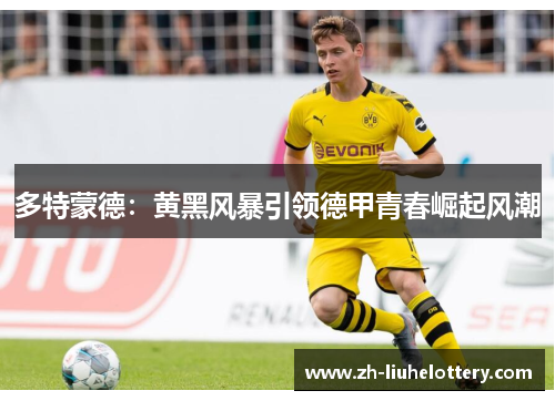 多特蒙德：黄黑风暴引领德甲青春崛起风潮