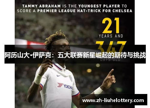 阿历山大·伊萨克：五大联赛新星崛起的期待与挑战